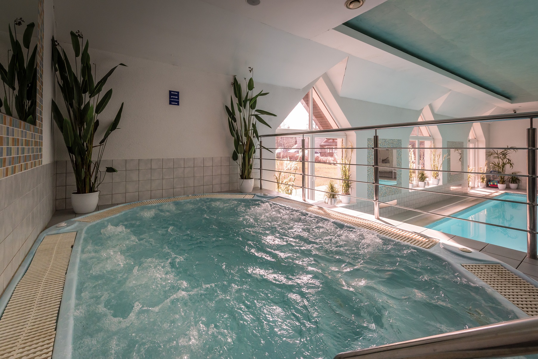 wellness