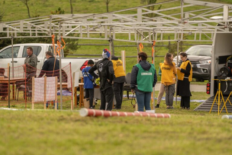 Grand Prix Orava 2024 5
