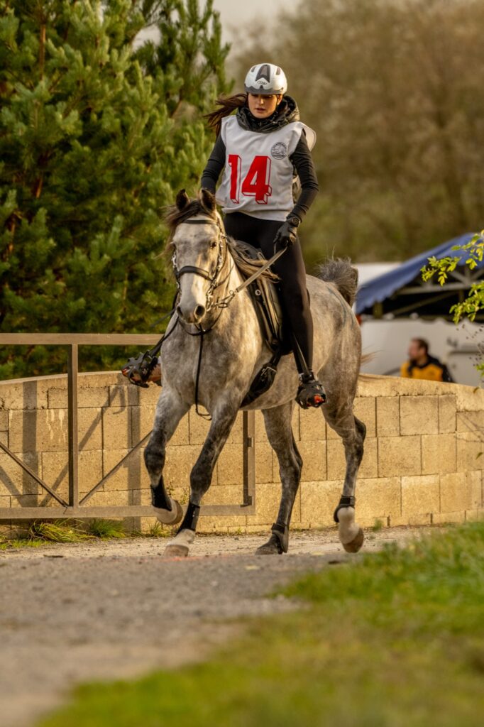 Grand Prix Orava 2024 6