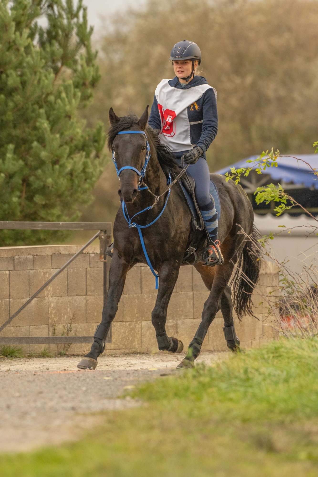 Grand Prix Orava vertical